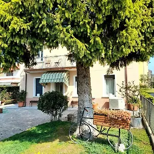 https://les-amis.hotelinveneto.com